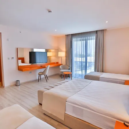 Caddem 파마구스타